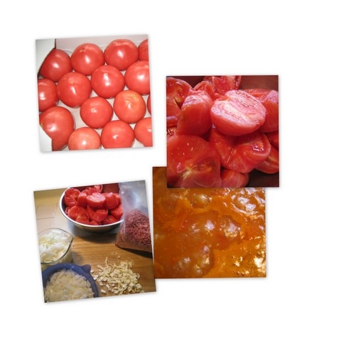 090531－トマトソースを作る